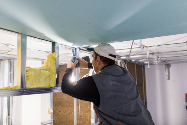 Best Energy Efficiency Insulation in Council Bluffs, IA